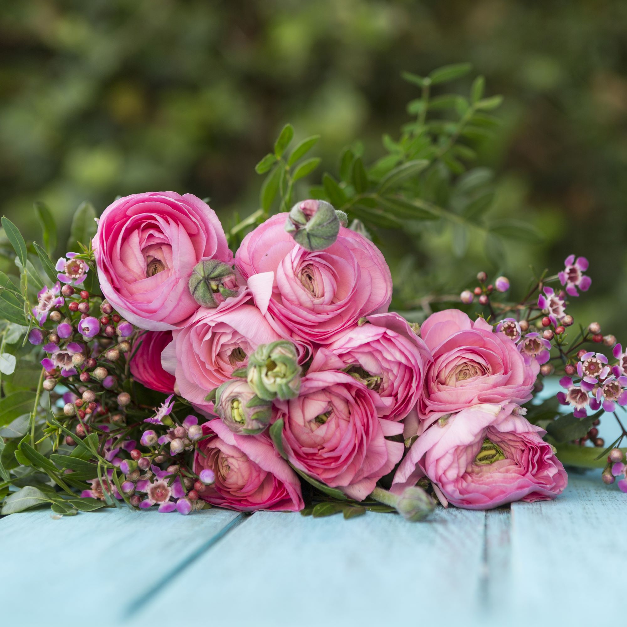 春季限定洋牡丹與洋桔梗花束 - Quadruple Flower