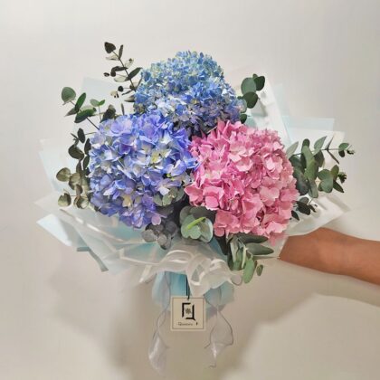 三色繡球鮮花花束 BL040006