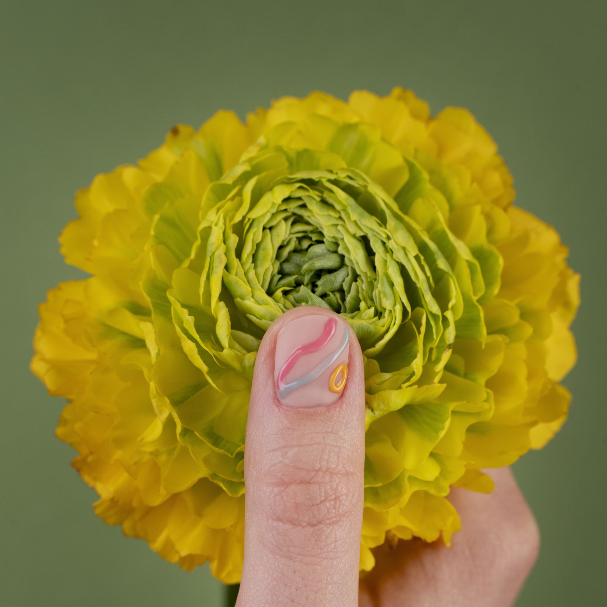 春季限定洋牡丹與洋桔梗花束 - Quadruple Flower