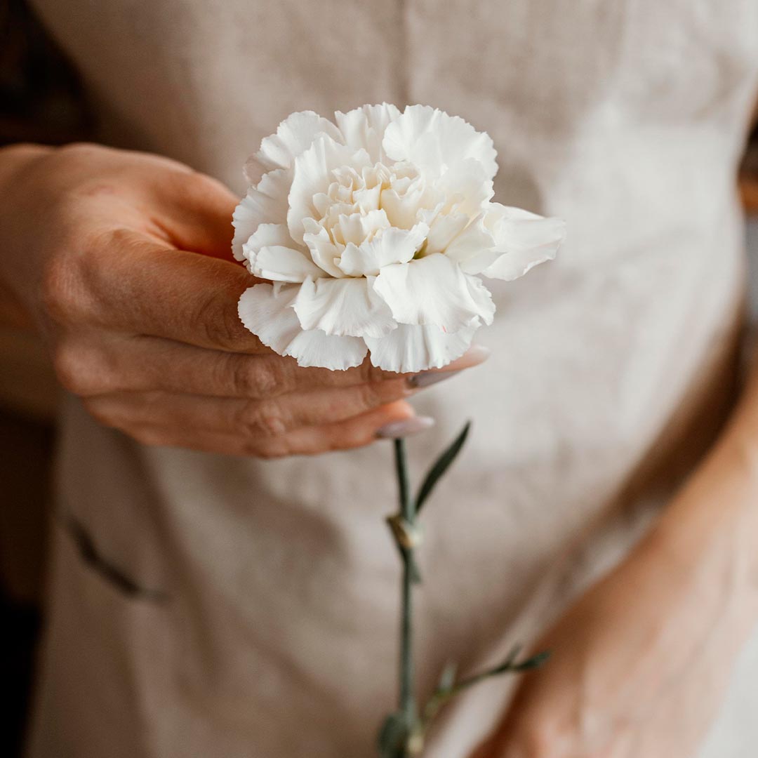 母親節 全攻略：母親節由來 📖