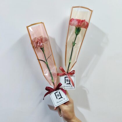 專屬心意 | 自選單支康乃馨鮮花花束(*10支起訂, 量大從優) - BS070004