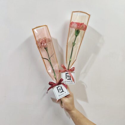 自選單支康乃馨鮮花花束(*10支起訂, 量大從優) BS070004