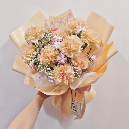 Mellow Love Moments | Pink-Edged Champagne Carnation & Baby's Breath Fresh Flower Bouquet - BM070006