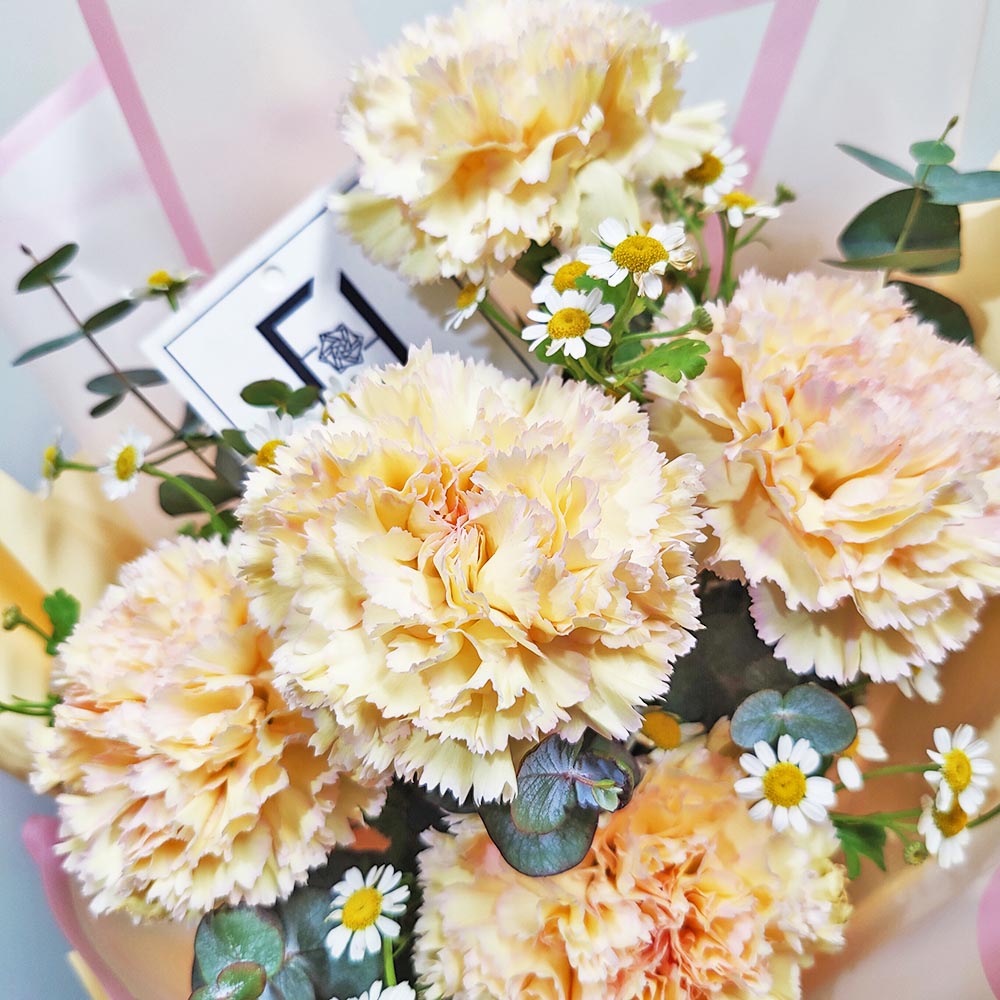 歲月靜好 | 粉邊香檳康乃馨洋甘菊鮮花花束 2 歲月靜好 | 粉邊香檳康乃馨洋甘菊鮮花花束 - BM070007