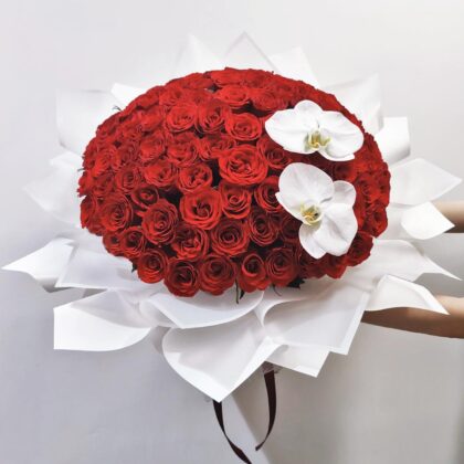蝶吻紅海 | 99支紅玫瑰白蝴蝶蘭鮮花求婚花束 - BH010018