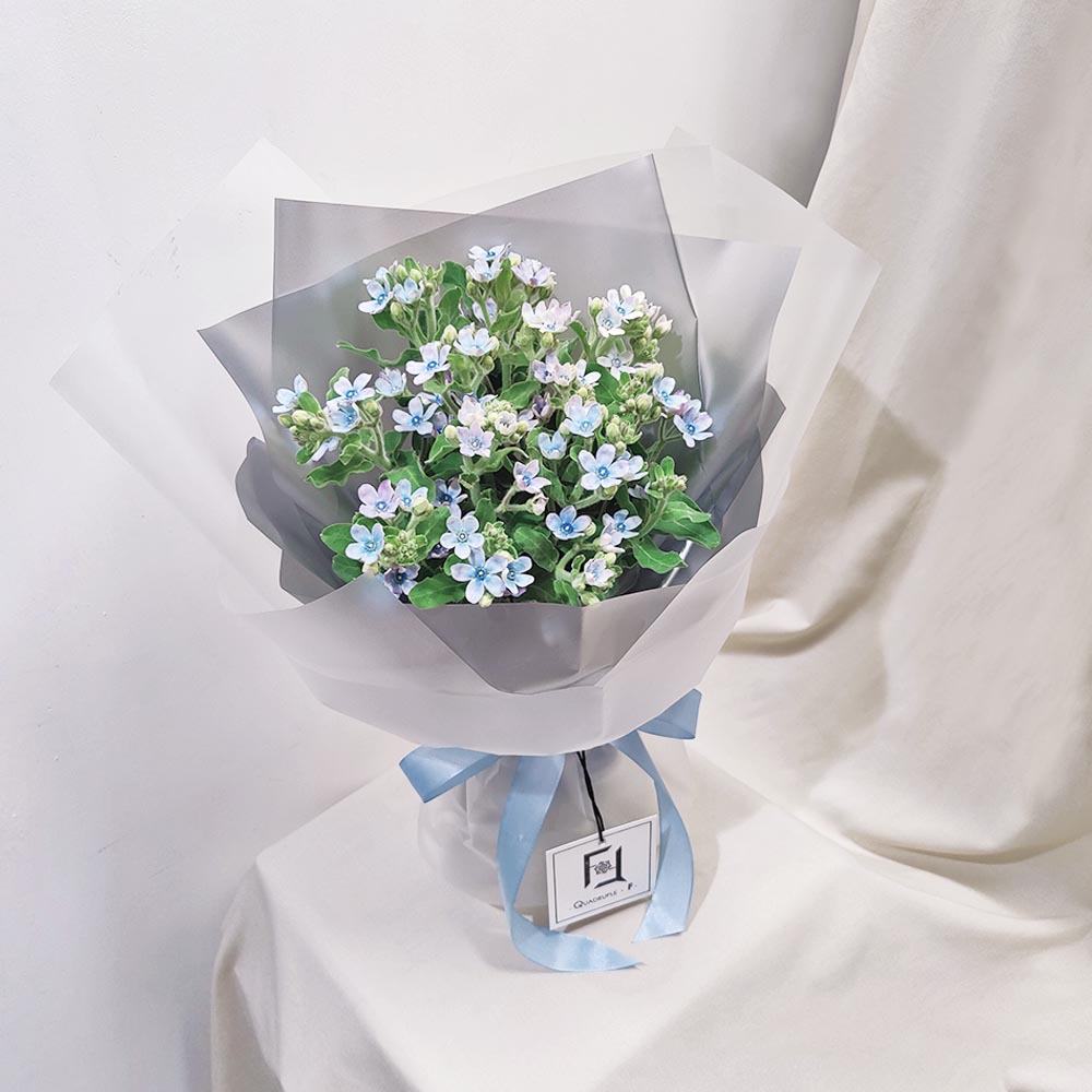 湛藍星願 | 藍星花鮮花花束 3 湛藍星願 | 藍星花鮮花花束 - BS100017