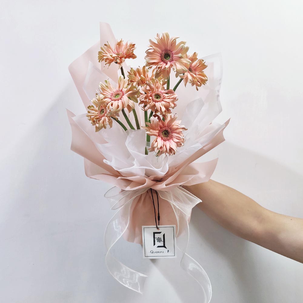 拾光粉黛 | 復古粉捲邊非洲菊鮮花花束 1 拾光粉黛 | 復古粉捲邊非洲菊鮮花花束 - BM100016