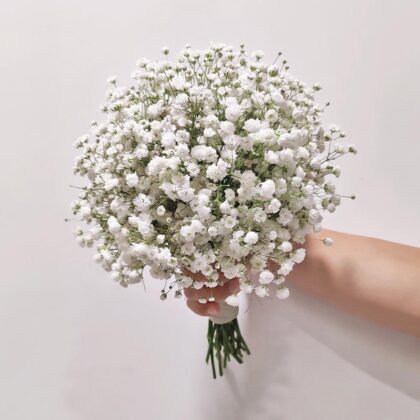 滿天星鮮花結婚花球連襟花 WB100001