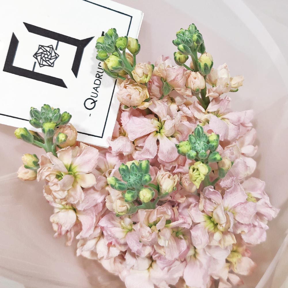Champagne Breeze | Champagne Stock Fresh Flower Bouquet 2 Champagne Breeze | Champagne Stock Fresh Flower Bouquet - BS100016
