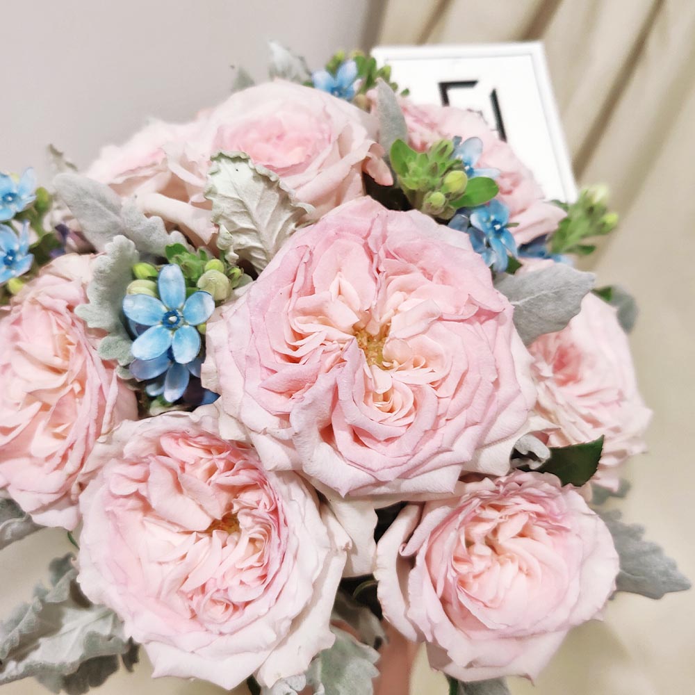 星燦粉戀 | 粉玫瑰藍星花鮮花結婚花球連襟花 2 星燦粉戀 | 粉玫瑰藍星花鮮花結婚花球連襟花 - WB010003