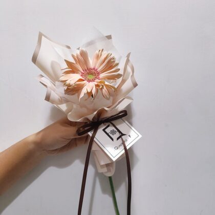 單支捲邊非洲菊(太陽花)鮮花花束 (*量大從優) BS100014