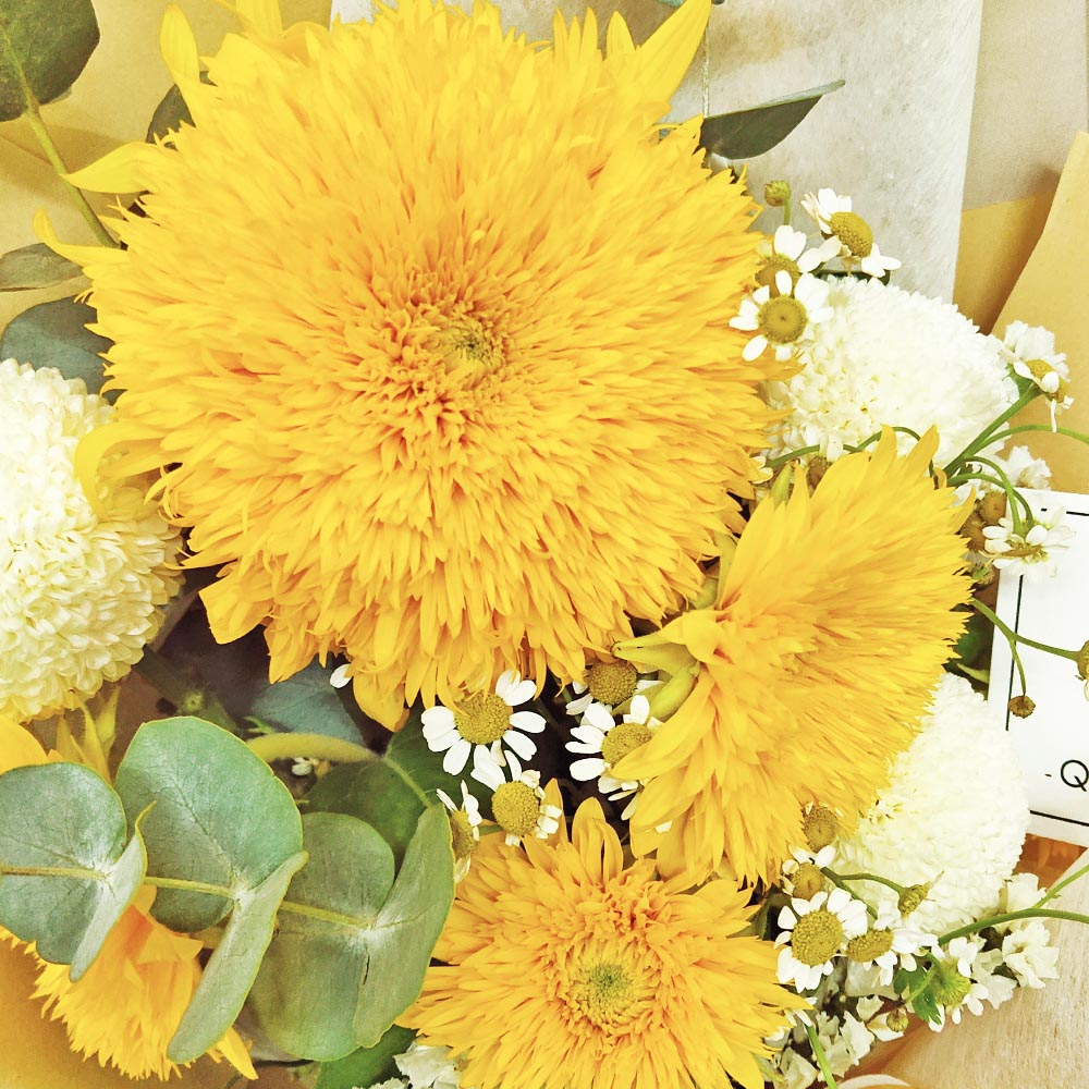 Lively BRAVERY | Teddy Bear Sunflower with White Pompon Fresh Flower Bouquet 2 Lively BRAVERY | Teddy Bear Sunflower with White Pompon Fresh Flower Bouquet - BM060001