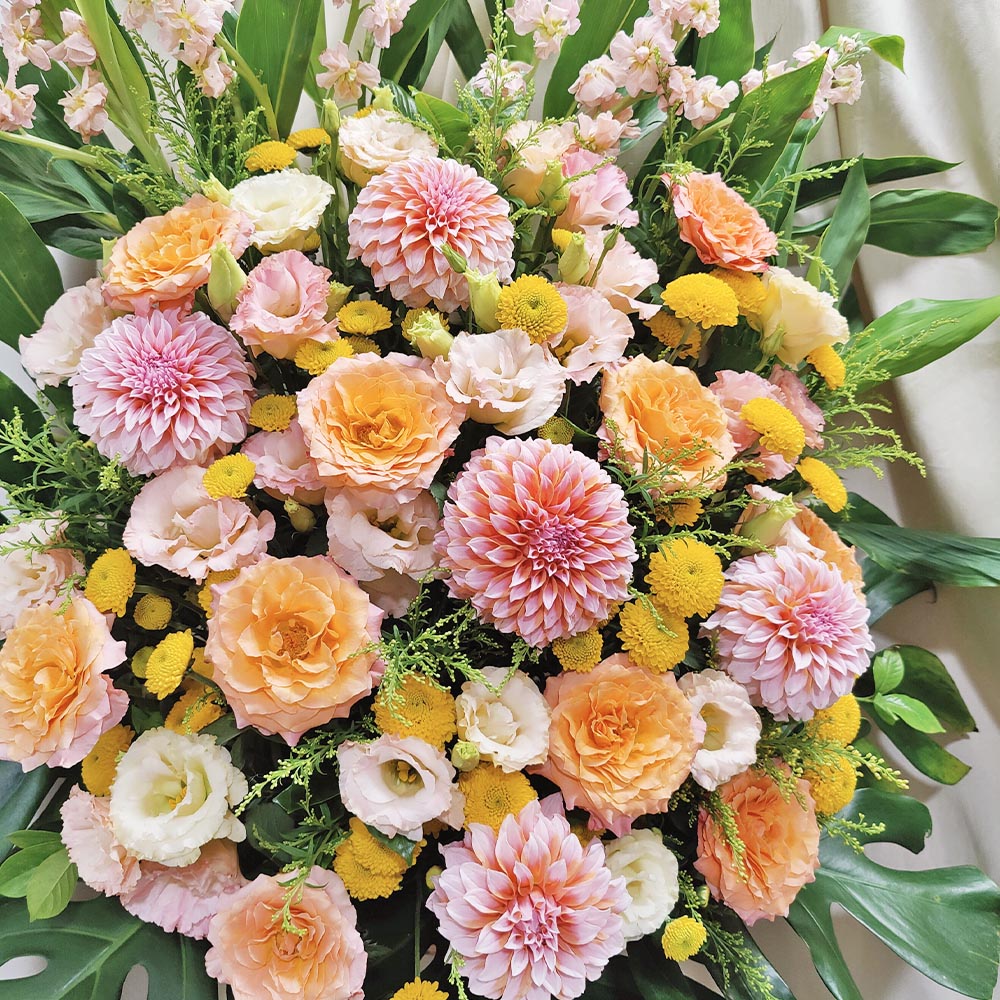 Rhythm of Bathing Light | Dahlia & Orange Rose Grand Opening Congratulatory Fresh Flower Stand 2 Rhythm of Bathing Light | Dahlia & Orange Rose Grand Opening Congratulatory Fresh Flower Stand - FS010003