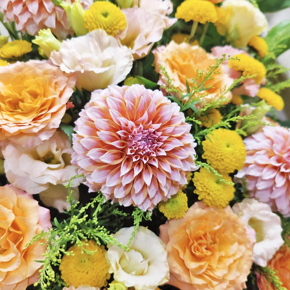 Rhythm of Bathing Light | Dahlia & Orange Rose Grand Opening Congratulatory Fresh Flower Stand 3 Rhythm of Bathing Light | Dahlia & Orange Rose Grand Opening Congratulatory Fresh Flower Stand - FS010003