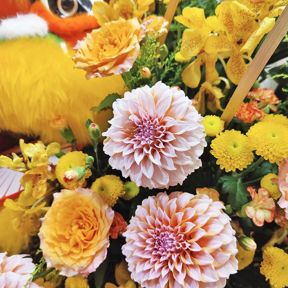 Lion Dancing in the Morning Sun | Dahlia & Orange Rose Lion Dance Grand Opening Congratulatory Fresh Flower Stand 3 Lion Dancing in the Morning Sun | Dahlia & Orange Rose Lion Dance Grand Opening Congratulatory Fresh Flower Stand - FS010001