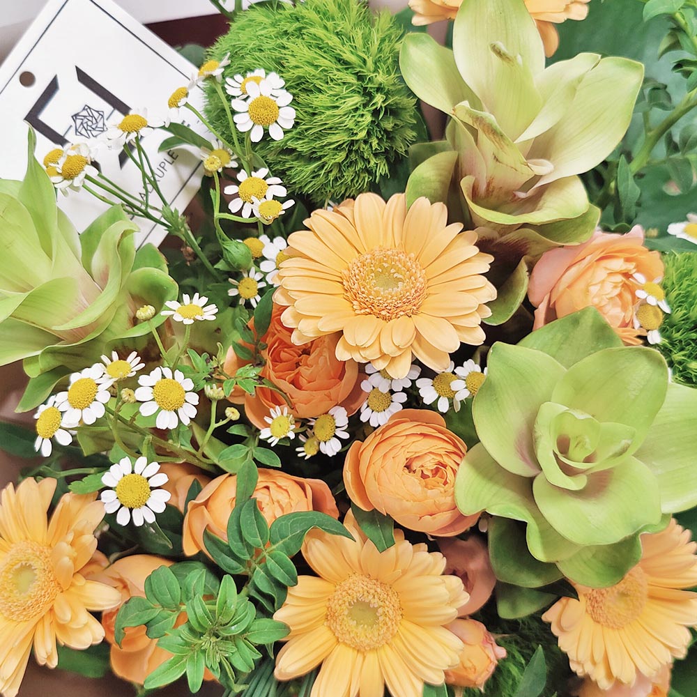 Earthy Dawn | Green Curcuma & Champagne Orange Gerbera Fresh Flower Bouquet 2 Earthy Dawn | Green Curcuma & Champagne Orange Gerbera Fresh Flower Bouquet - BL100007