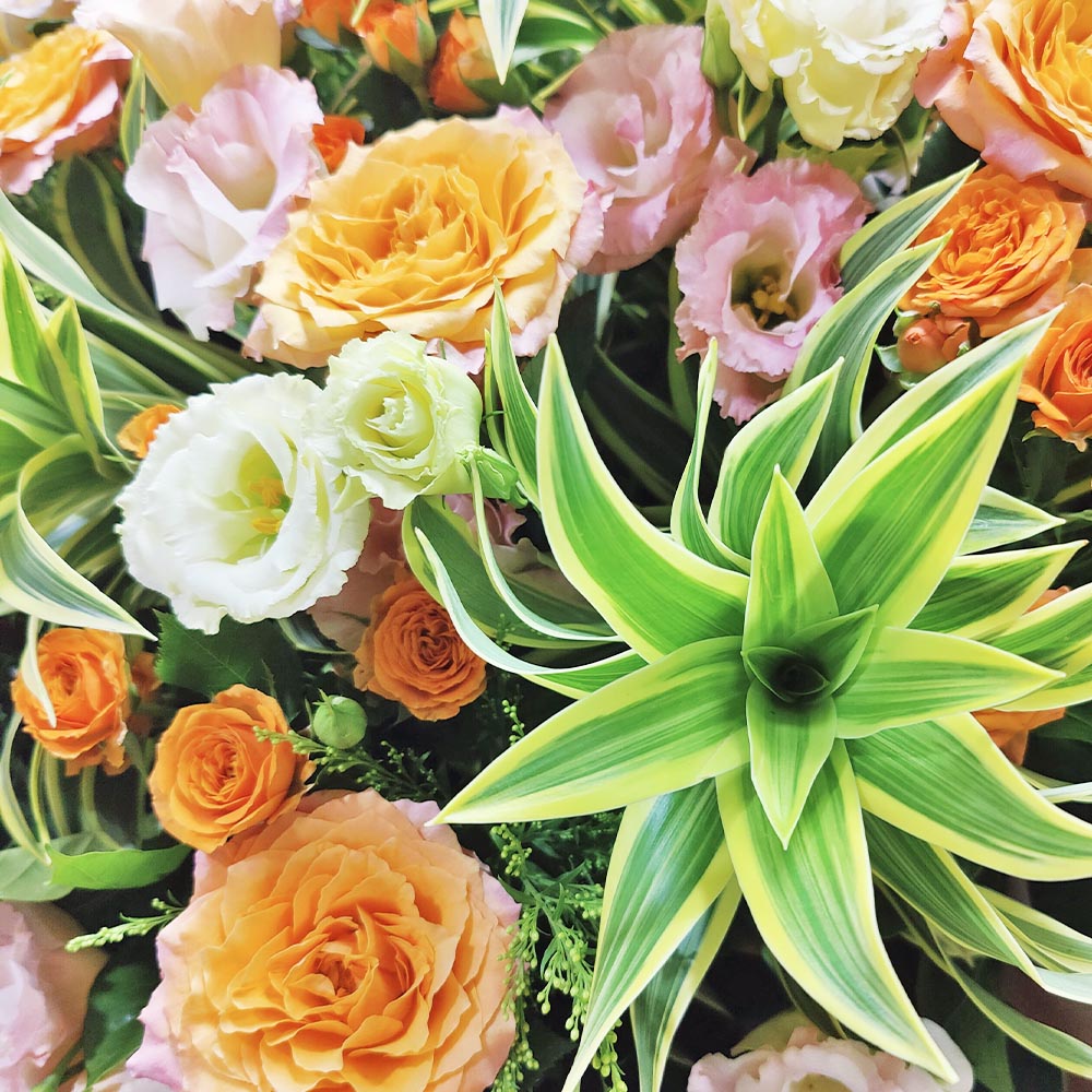 Brilliant Dawn | Orange Rose & Eustoma Grand Opening Congratulatory Fresh Flower Stand 2 Brilliant Dawn | Orange Rose & Eustoma Grand Opening Congratulatory Fresh Flower Stand - FS010002