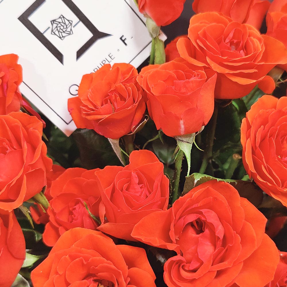 Crimson Enigma | Red Spray Rose Fresh Flower Bouquet 2 Crimson Enigma | Red Spray Rose Fresh Flower Bouquet - BM010030