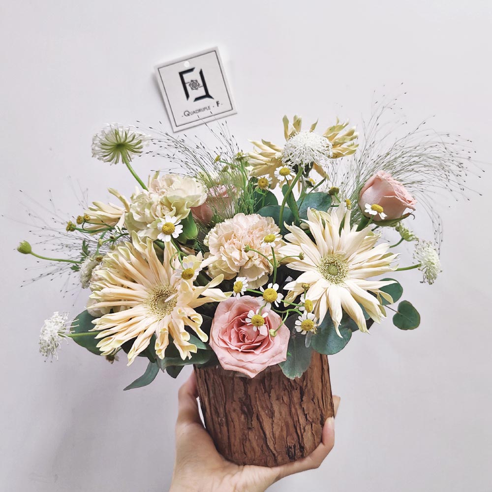 森沐暖陽 | 卷邊非洲菊復古玫瑰木盆鮮花枱花(*8個起訂) 4 森沐暖陽 | 卷邊非洲菊復古玫瑰木盆鮮花枱花(*8個起訂) - TA010011